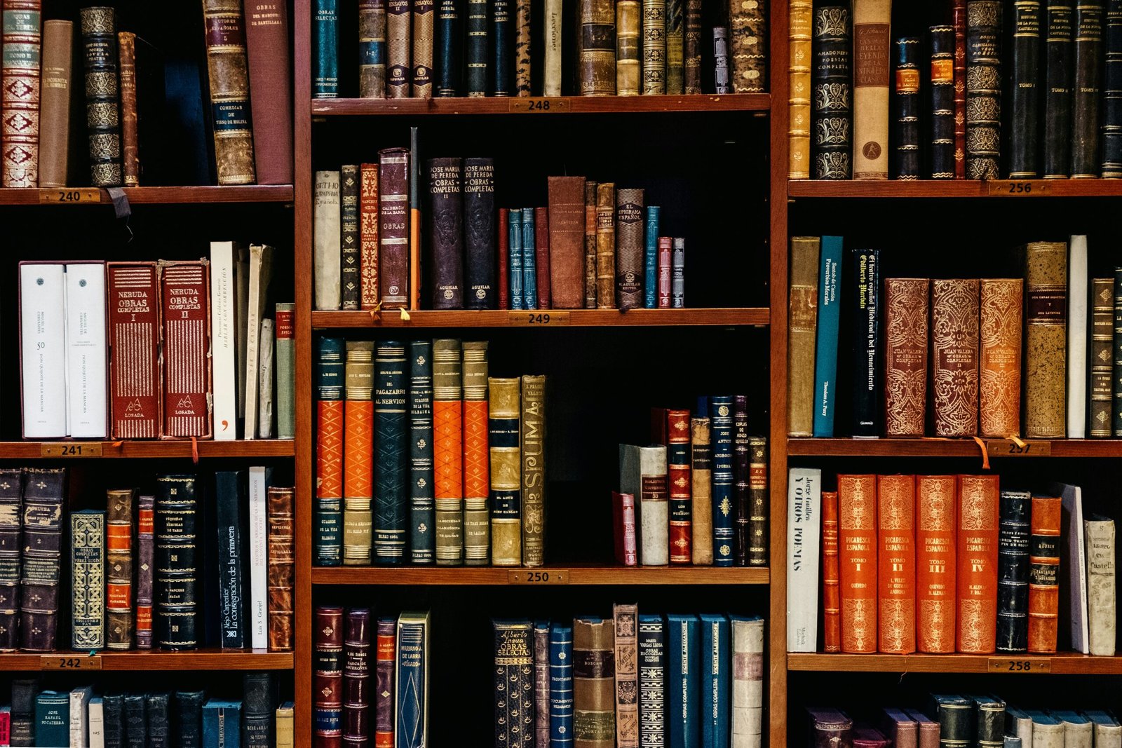 israelagent.com assorted-title of books piled in the shelves